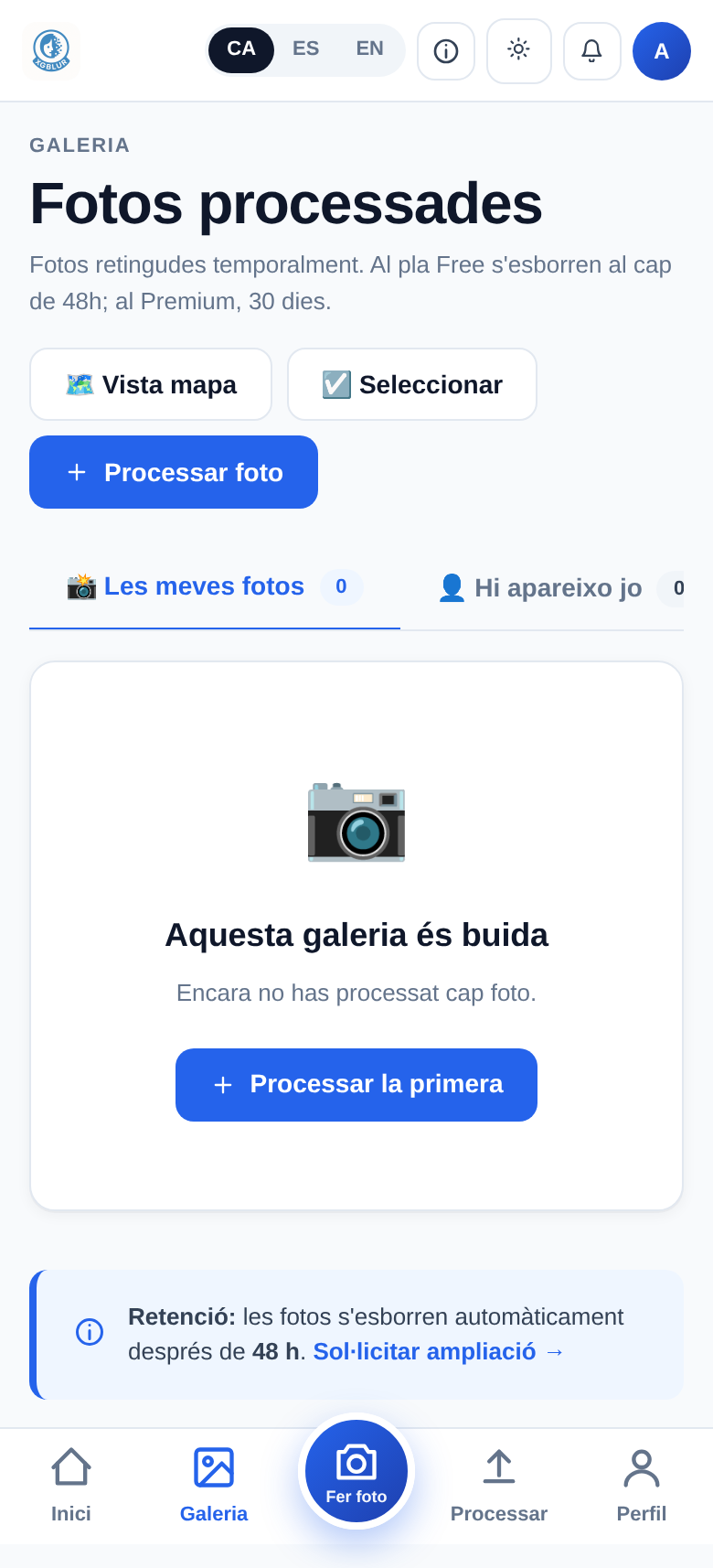 Galeria (buida)